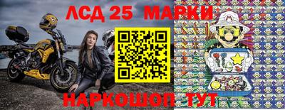 крисы Донской
