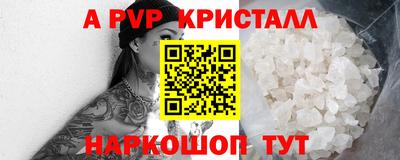 крисы Донской