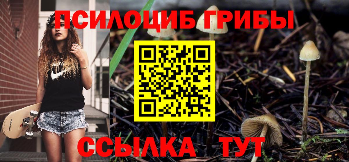 Галлюциногенные грибы Psilocybe  Галлюциногенные грибы прущие грибы  Вход с VPN  Моздок 
