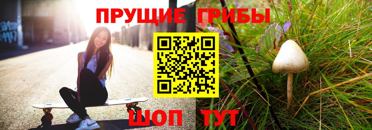 Псилоцибиновые грибы прущие грибы Моздок
