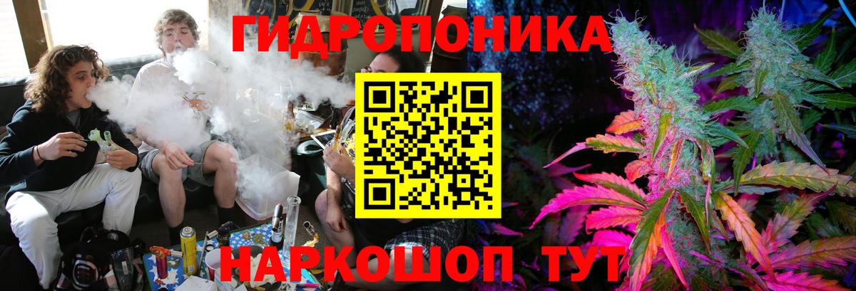 Марихуана семена Моздок